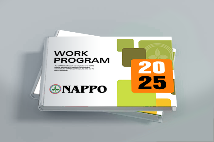 2024_workprogram_e.png